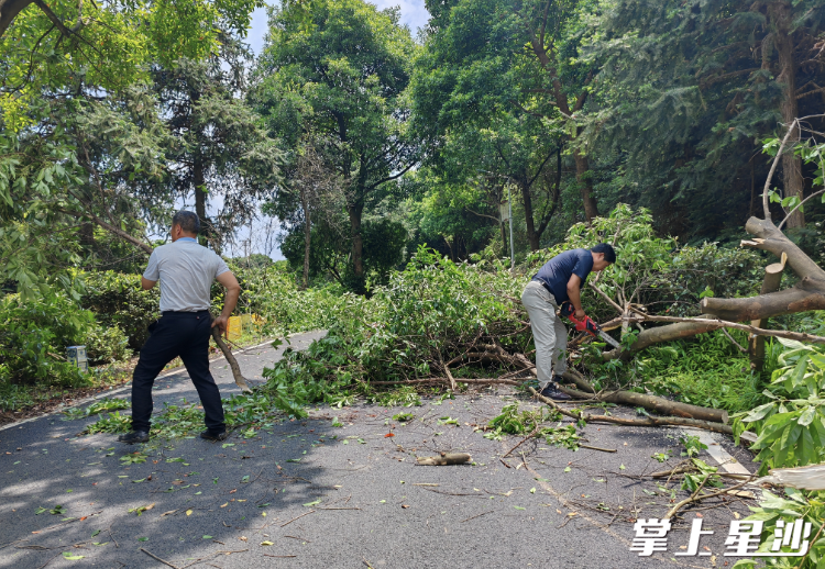 道路清理现场。